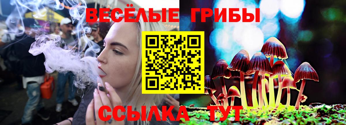 Галлюциногенные грибы Psilocybe  Псилоцибиновые грибы MAGIC MUSHROOMS  Кострома  Вход с VPN 