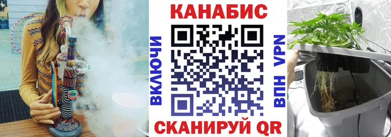 Канабис гибрид Кострома